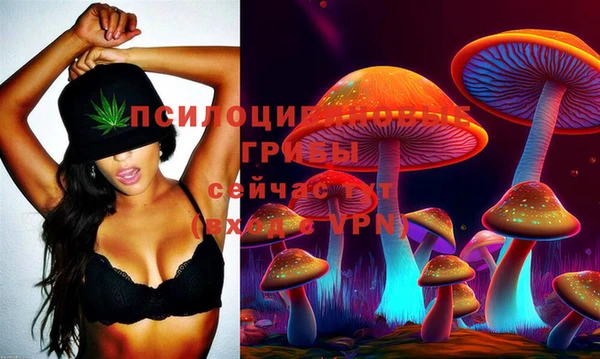 соль ск Калининец