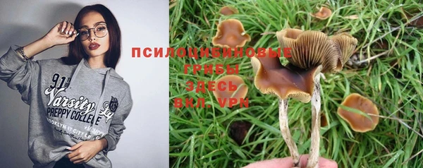 бошки Магадан
