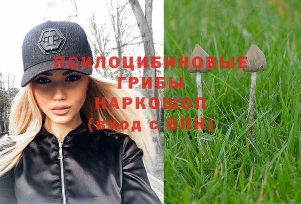 бошки Магадан