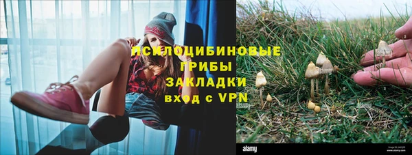 бутират Магас