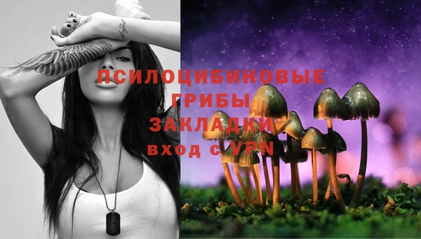 трава Майский