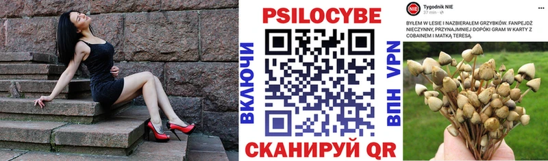 Псилоцибиновые грибы ЛСД  Кубинка 