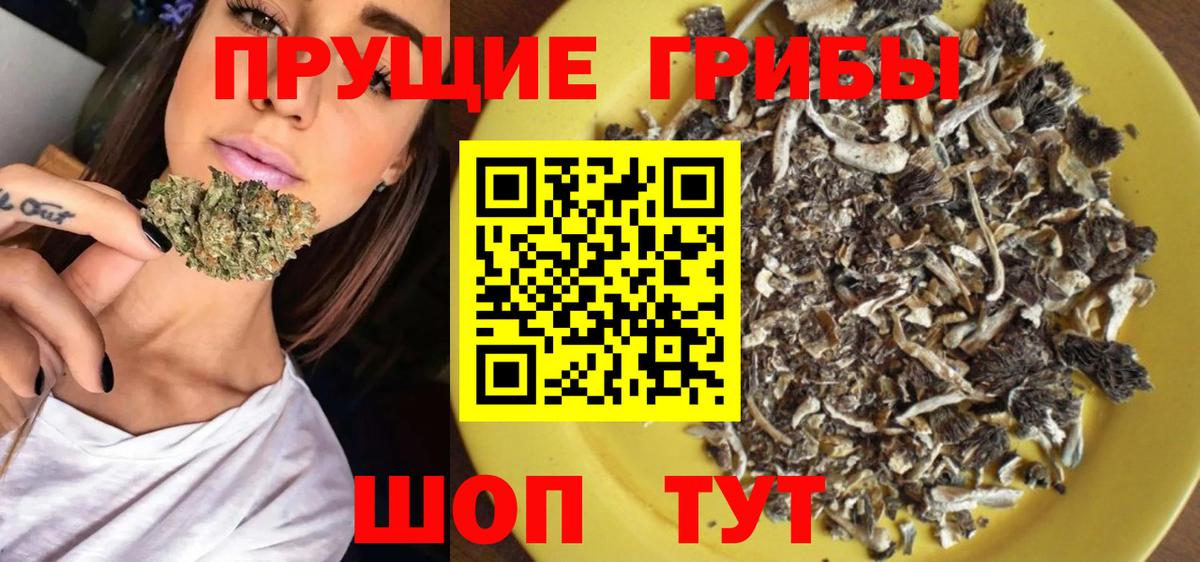 где продают   Псилоцибиновые грибы Cubensis  Кубинка  Вход с VPN  Псилоцибиновые грибы GOLDEN TEACHER 