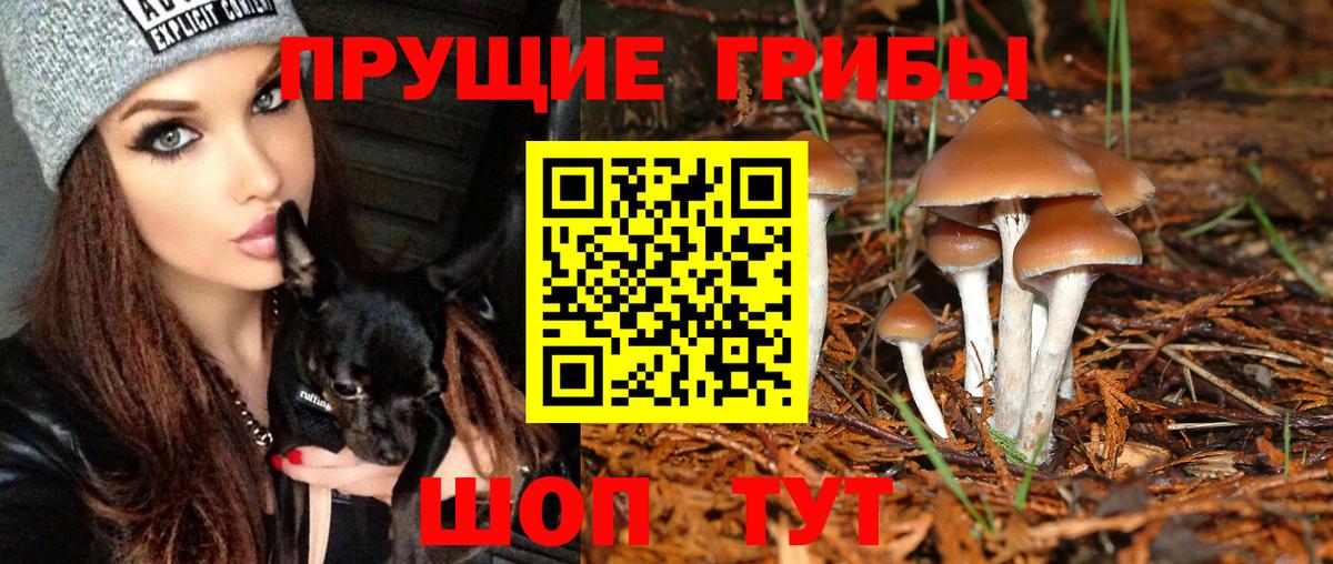 Галлюциногенные грибы мицелий  Кубинка  Псилоцибиновые грибы прущие грибы 